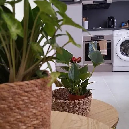 Appartement Superbe 2 Pièces Neuf à 100m De La Menton