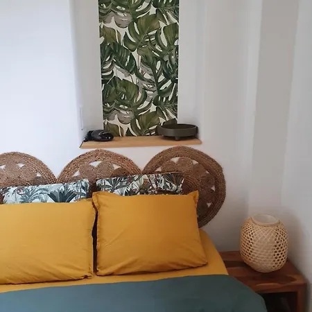 Superbe 2 Pièces Neuf à 100m De La Appartement *