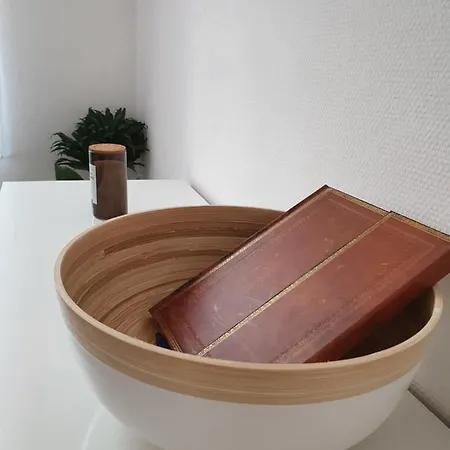 La Canopee Superbe 2 Pieces Neuf A 100m De La Classe 2 Etoiles 公寓 芒通