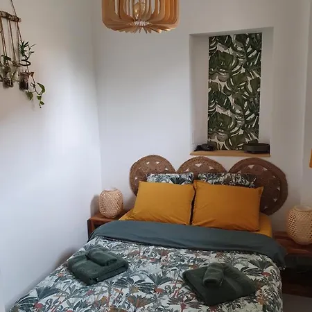 La Canopée Superbe 2 Pièces Neuf à 100m De La Classé 2 étoiles *